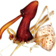 Illustration for article titled Good god, this bloody mutant monster cant be a real spider